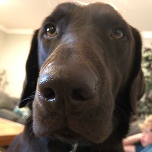 Meet your Posher, Sarsarah